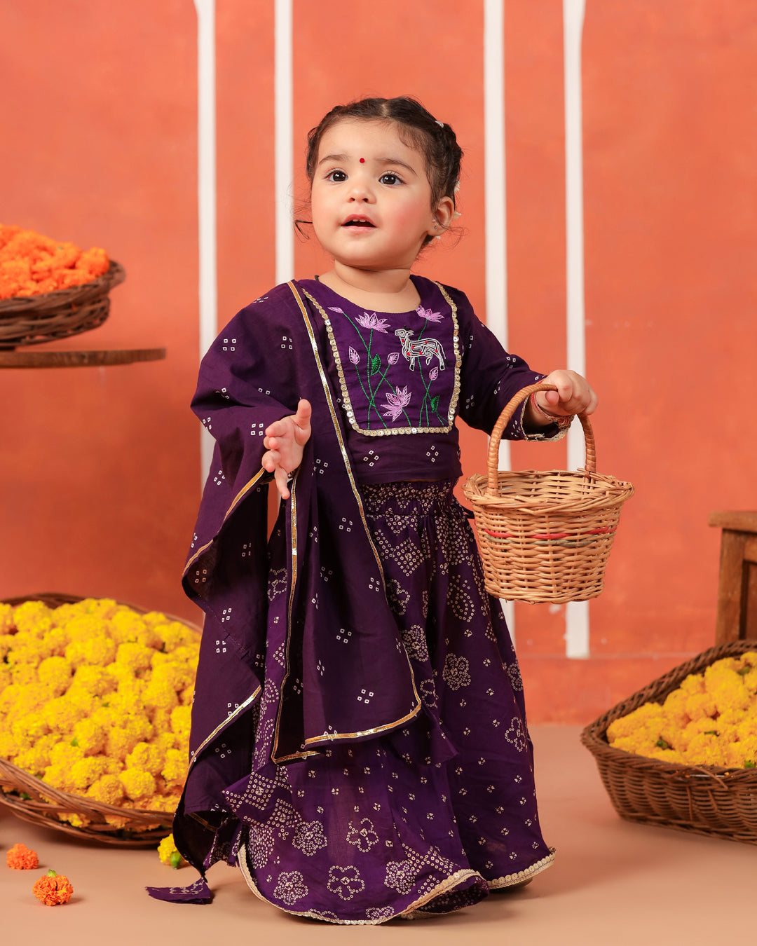 Radha Rani Skirt Top Set - Purple