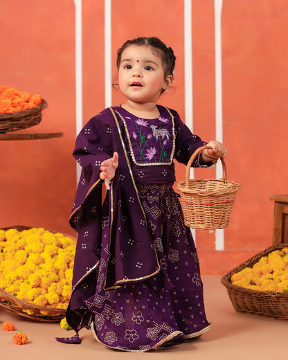 Radha Rani Skirt Top Set - Purple