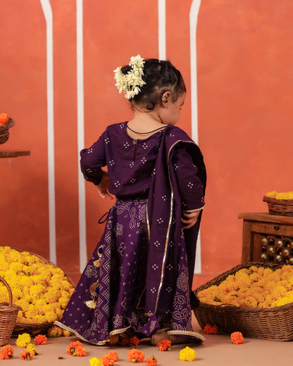 Radha Rani Skirt Top Set - Purple