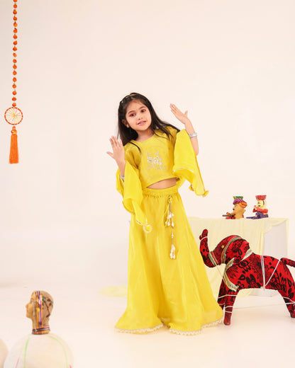 Girl Stripe Zari Embroidered Skirt Top Set - Lemon Yellow