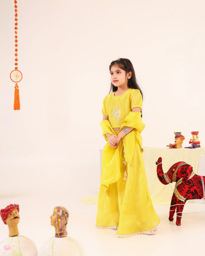 Girl Stripe Zari Embroidered Skirt Top Set - Lemon Yellow