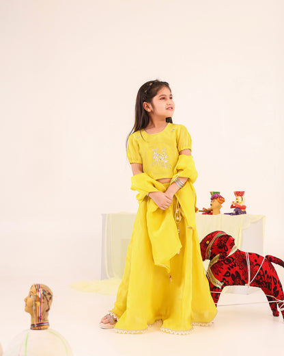 Girl Stripe Zari Embroidered Skirt Top Set - Lemon Yellow