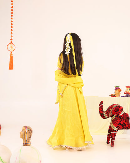Girl Stripe Zari Embroidered Skirt Top Set - Lemon Yellow