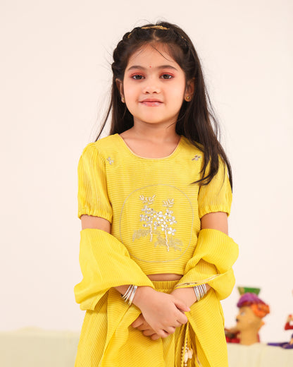 Girl Stripe Zari Embroidered Skirt Top Set - Lemon Yellow