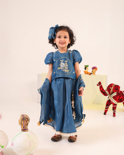 Girl Stripe Zari Embroidered Skirt Top Set - Teal Blue